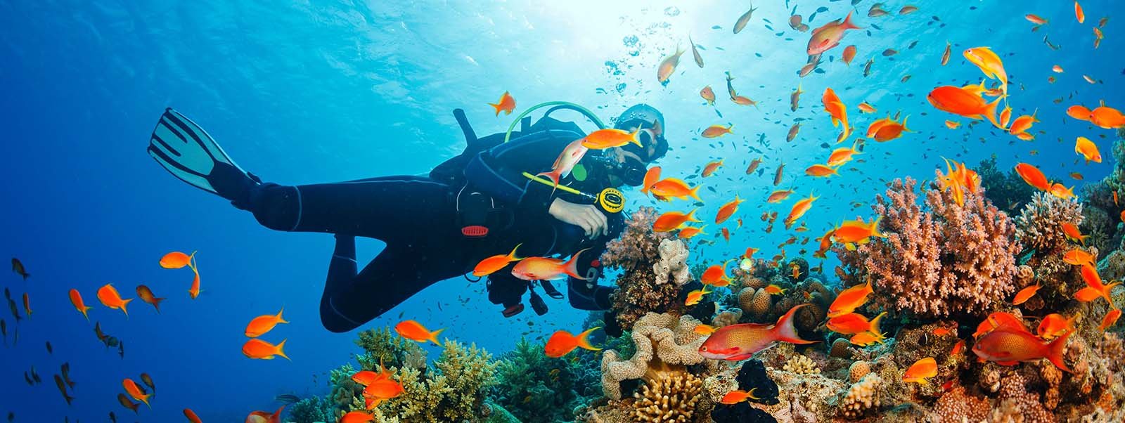 Diving in Mirbat