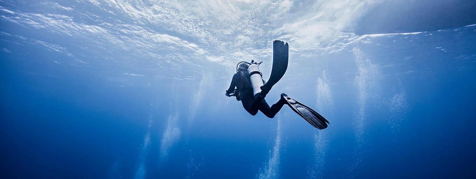 Master Scuba Diver