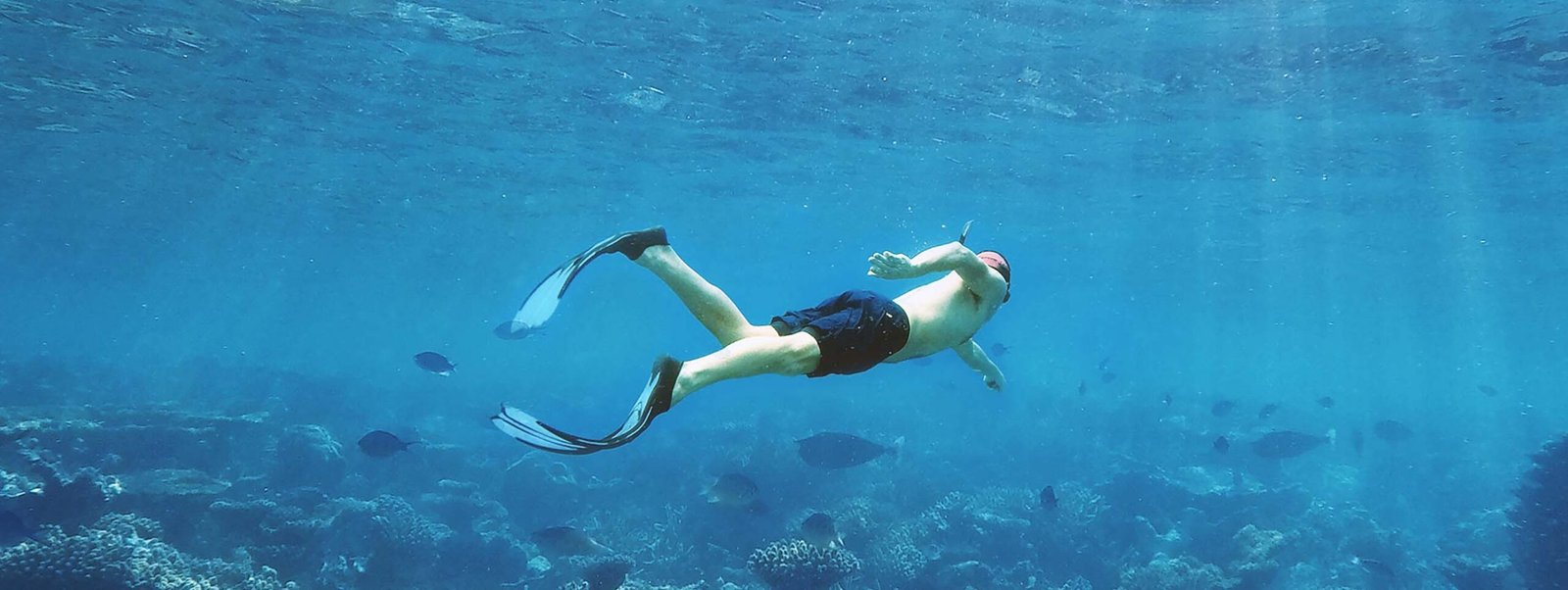 Scuba diving